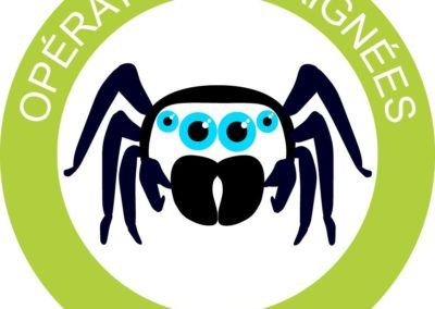 Opération araignées